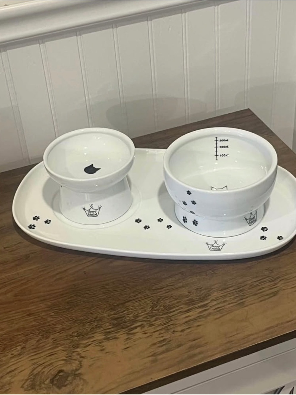 ELEVATED CAT BOWLS WITH DISH